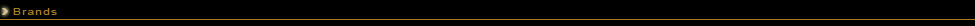 ADVANCE SNOWBOARD BRANDS