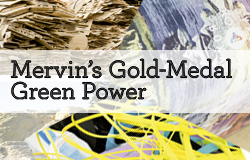 Mervin's Gold-Medal Green Power