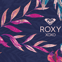 Roxy Snowboards 17 18