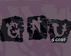 S CORP