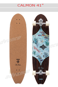 CALMON 41"